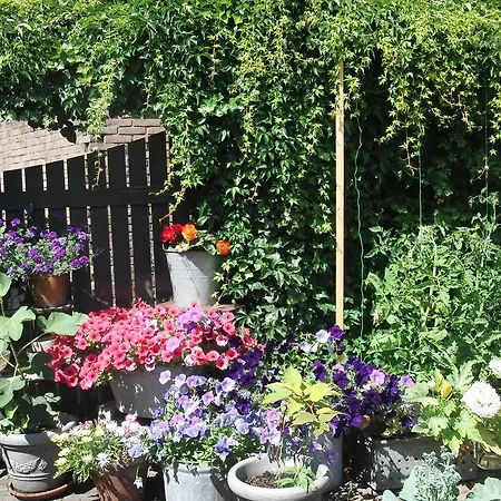 Apartmán Huize De Weijde Blick Wijk aan Zee
