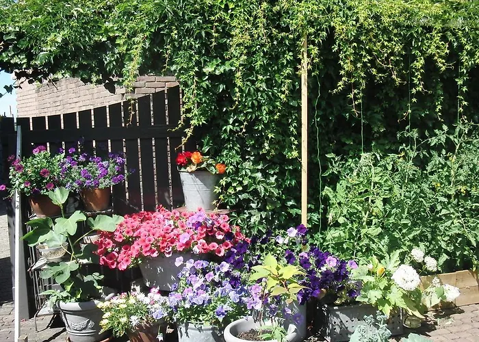 Appartement Huize De Weijde Blick Wijk Aan Zee
